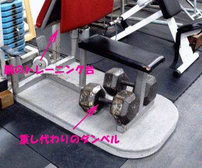 11.gif