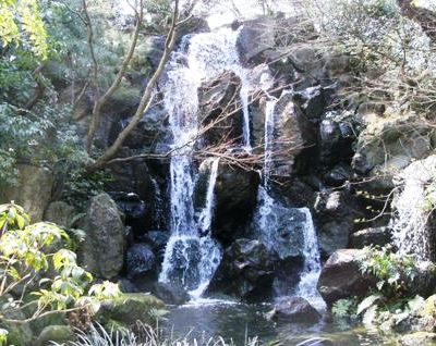20110310.JPG