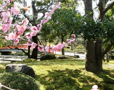 2011038.JPG