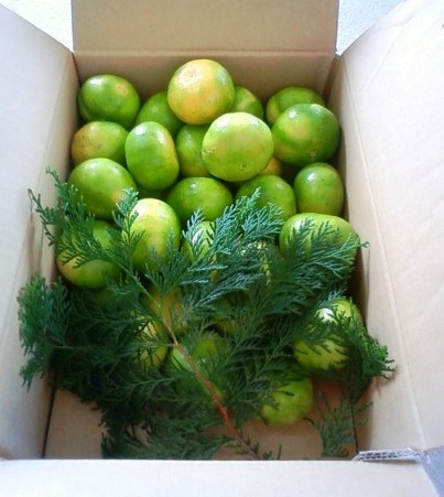 201110011232001.jpg