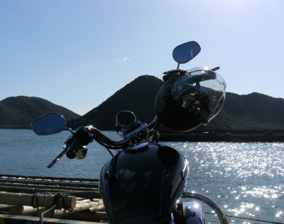20111204-hinase.JPG