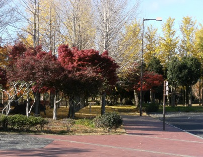 20111204-tatunonishi2.JPG