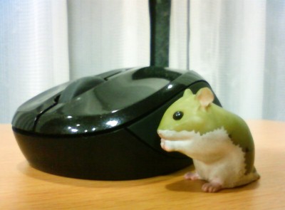20120218mouse.jpg