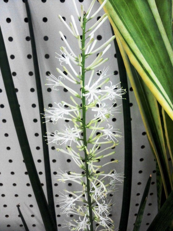 20120711.jpg