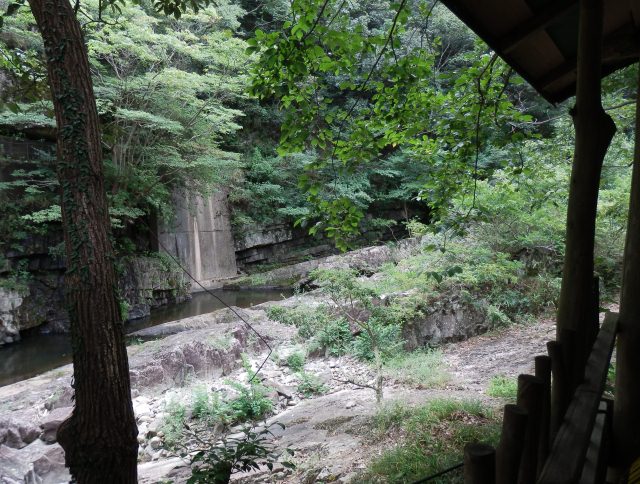 20120826-05.JPG