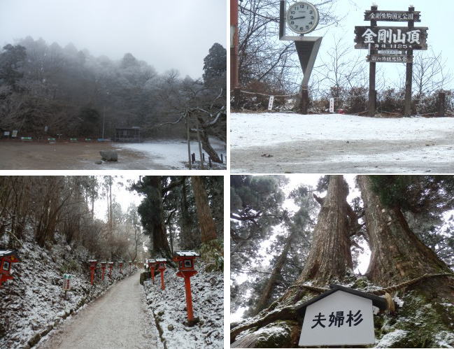 20130210-2.jpg