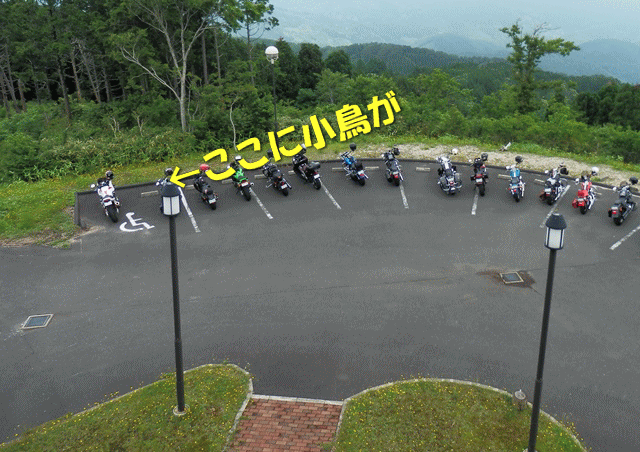 20130623-1.gif