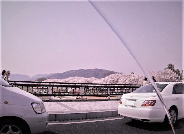 20180329kyoto.jpg
