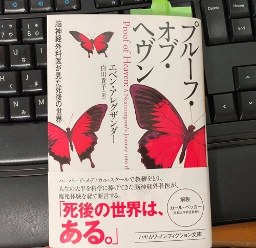 20190628bl.jpg
