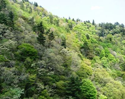 DSCF2022.JPG