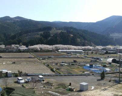 DSCF2647.JPG