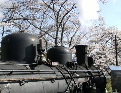 DSCF2657.JPG