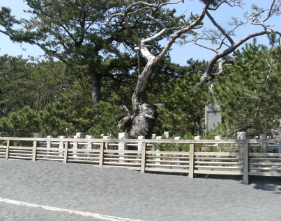 DSCF2692.JPG