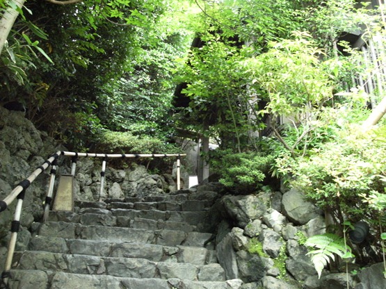 DSCF2891.JPG