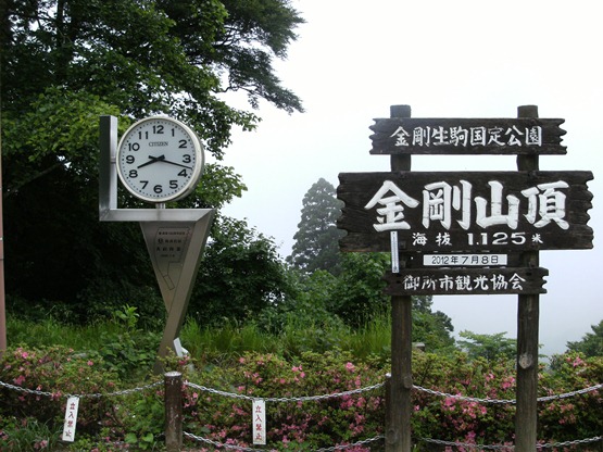DSCF2901.JPG