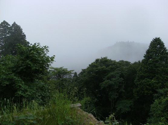 DSCF2902.JPG