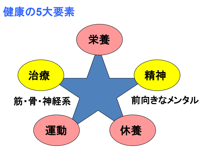 健康の5大要素.png