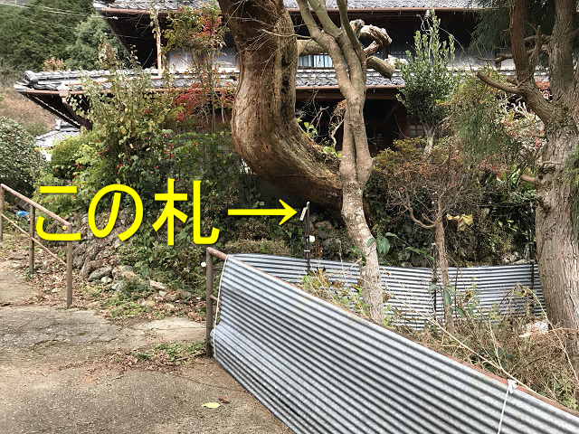 IMG_2229.png