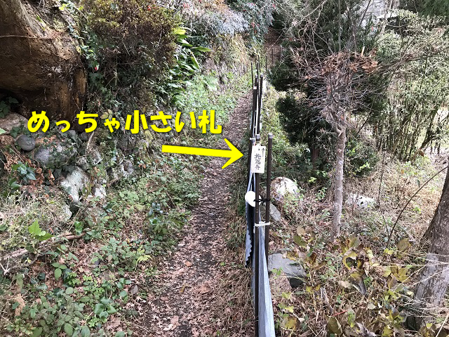 IMG_2230.png