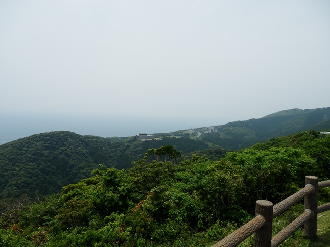 P5030040.JPG