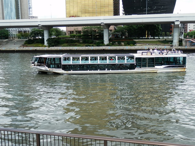 P6290079.JPG