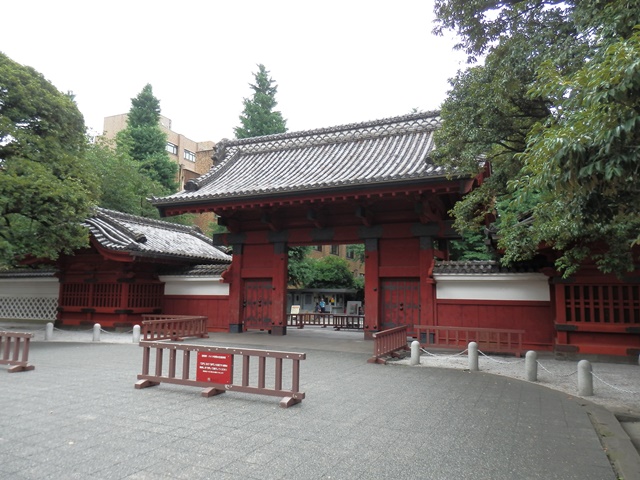 P6300211.JPG