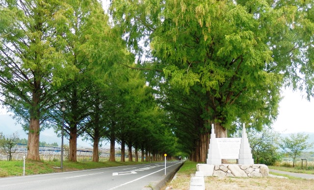 PA260004.JPG