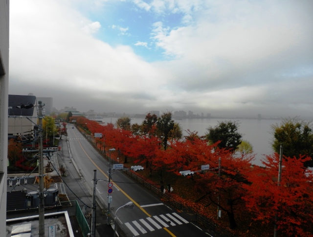 PB020002.JPG