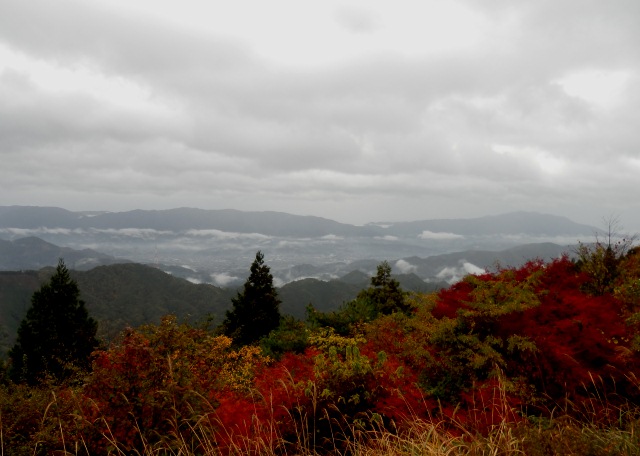 PB110016.JPG