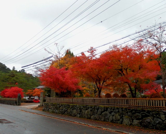 PB110025.JPG
