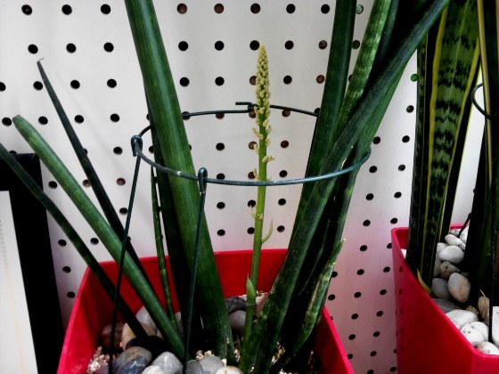 bb-20120619-2.JPG