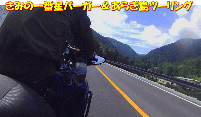 image254.gif