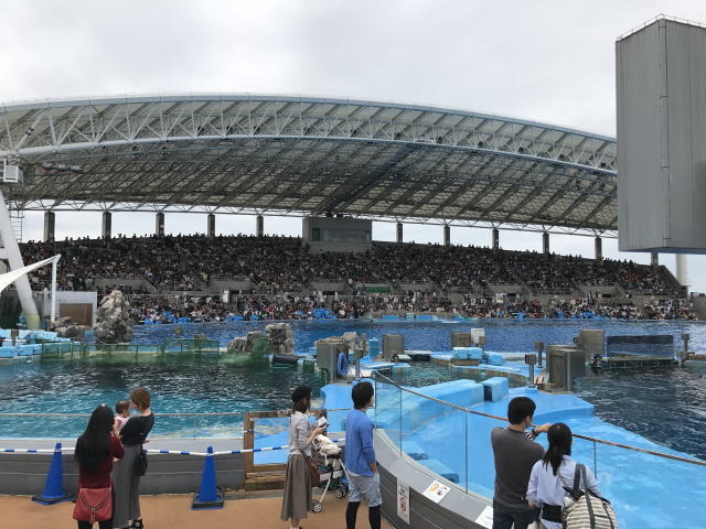 image7.jpg