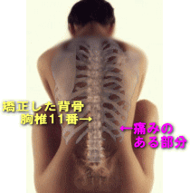 brs01.gif