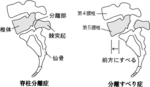bunrisuberi.gif