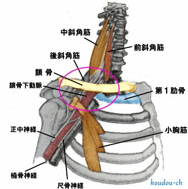 kyoukaku-b.gif