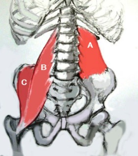 m1.jpg