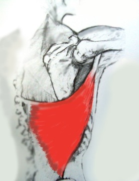 m10.jpg
