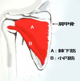 m6.jpg
