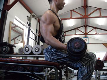 arm2.jpg