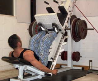 legpress.jpg