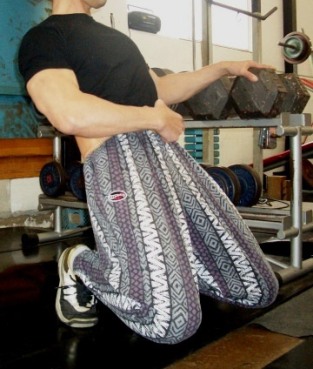 sissy squat1.jpg